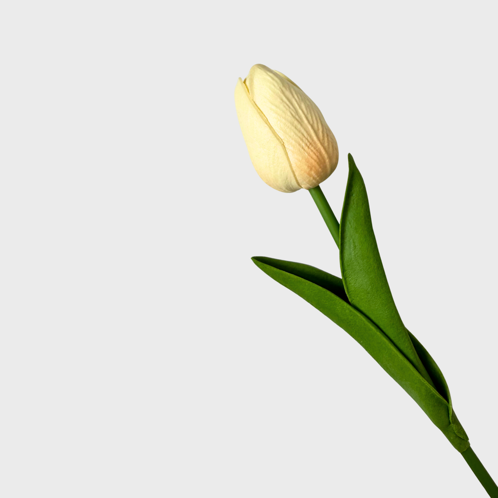 Pacchetto Completo San Valentino